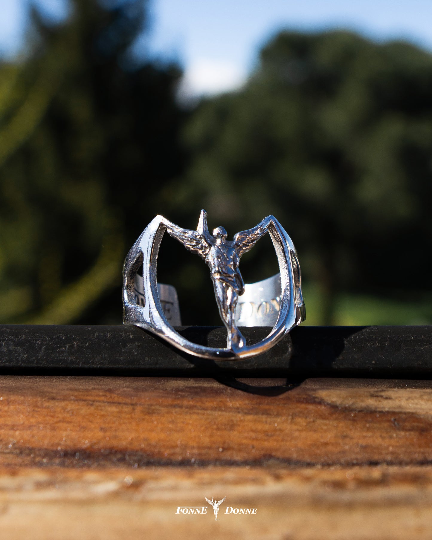 EL ANILLO DEL ANGEL