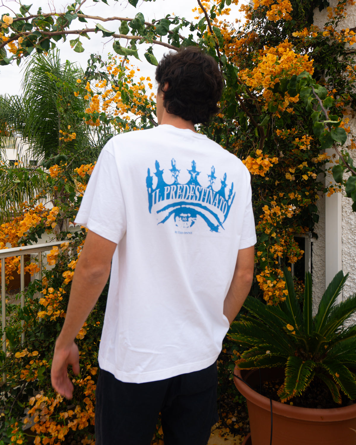 IL PREDESTINATO | CAMISETA